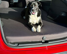 The Tesla Model Y air mattress in use (image: Alex Neil/X)